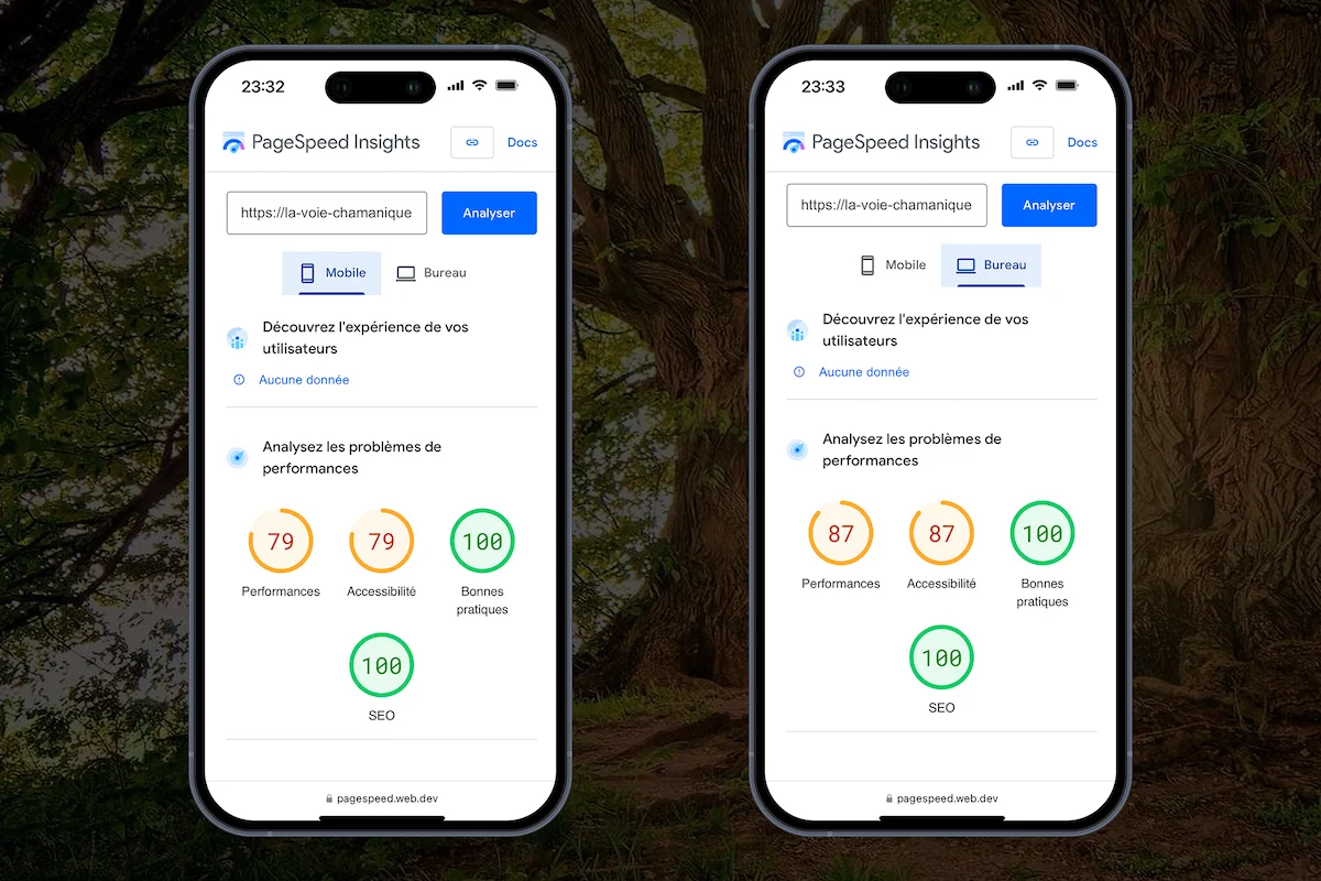 test de chargement de page du site la voie chamanique