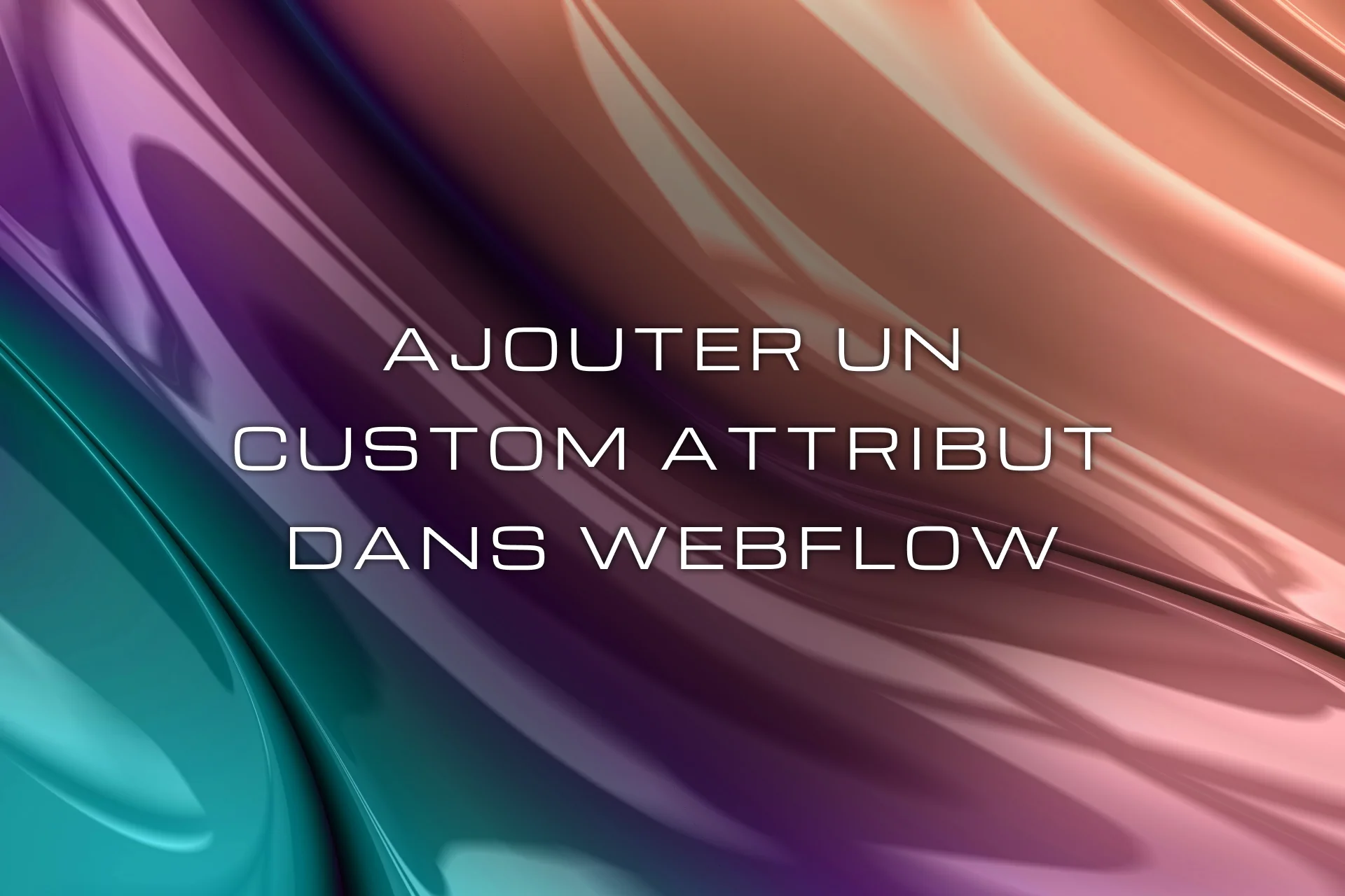 image d'illustration comment ajouter un custom attribute webflow