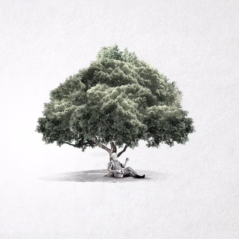 Man sitting under a large lush tree on a plain white background, holding an object and relaxing.