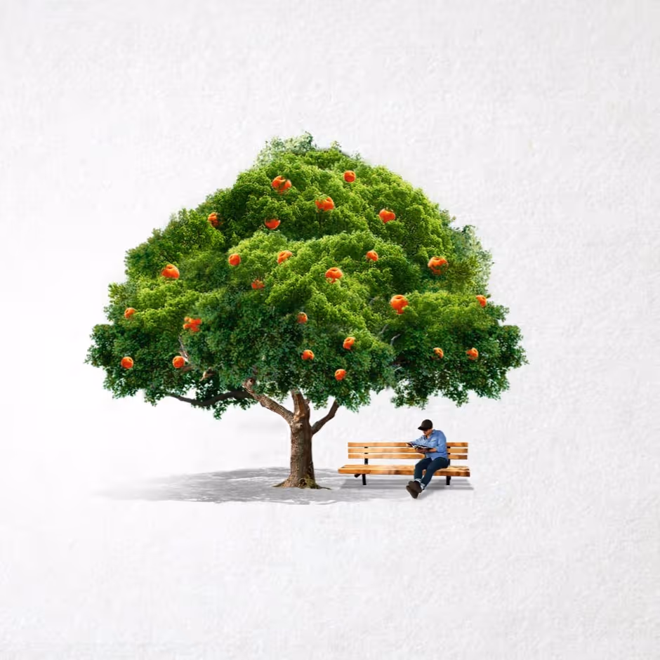 A man sitting on a wooden bench under a lush green tree with orange fruits against a white background.
