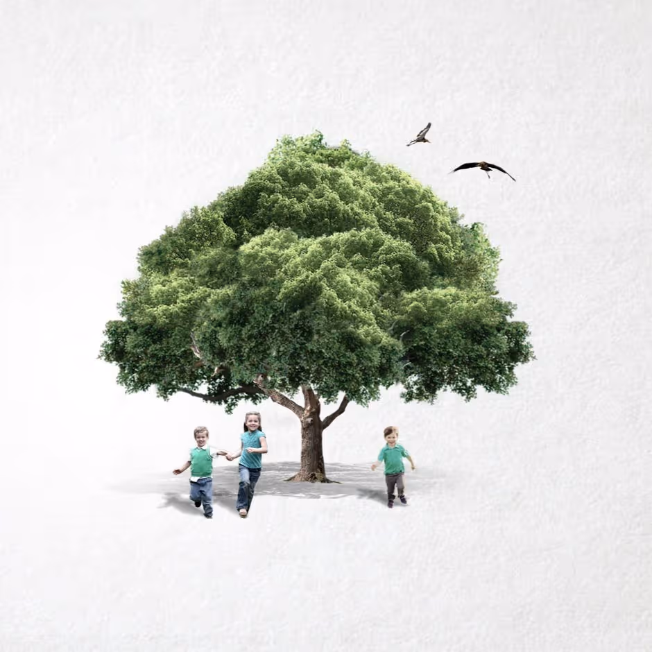 Three children running and holding hands near a large leafy green tree with two birds flying above.