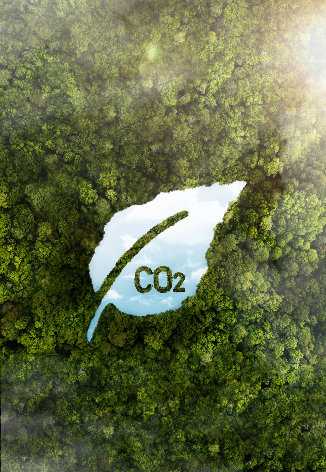 Aerial view of dense green forest with a leaf-shaped clearing showing a blue sky and a green tick mark with the text CO2 inside the leaf.