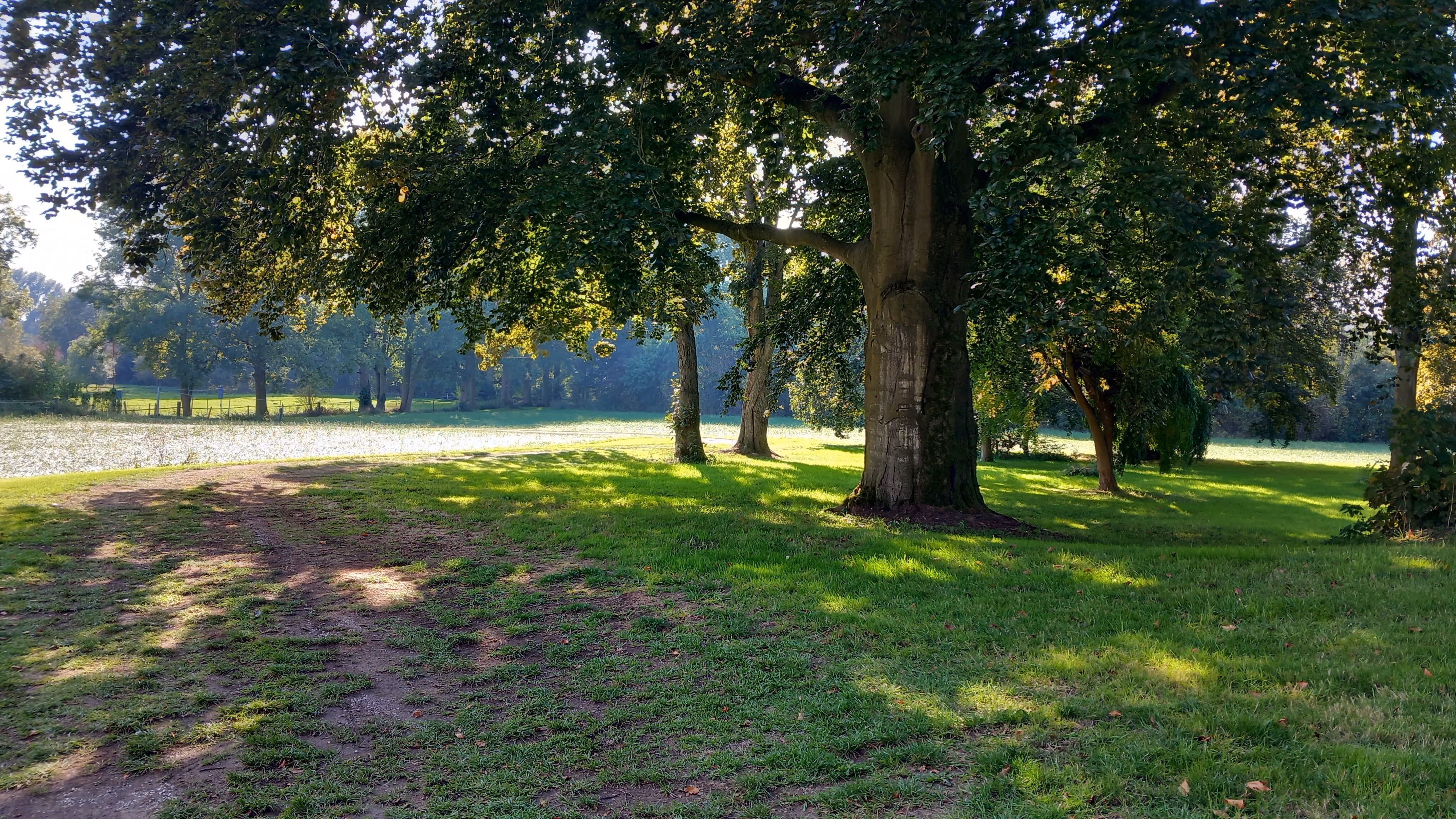 Parkanlage Sommer