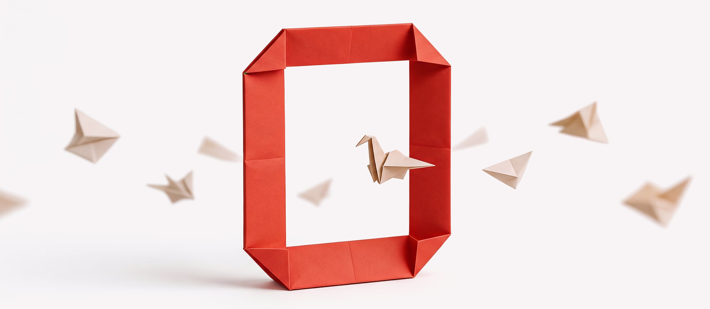 A swan crosses a frame