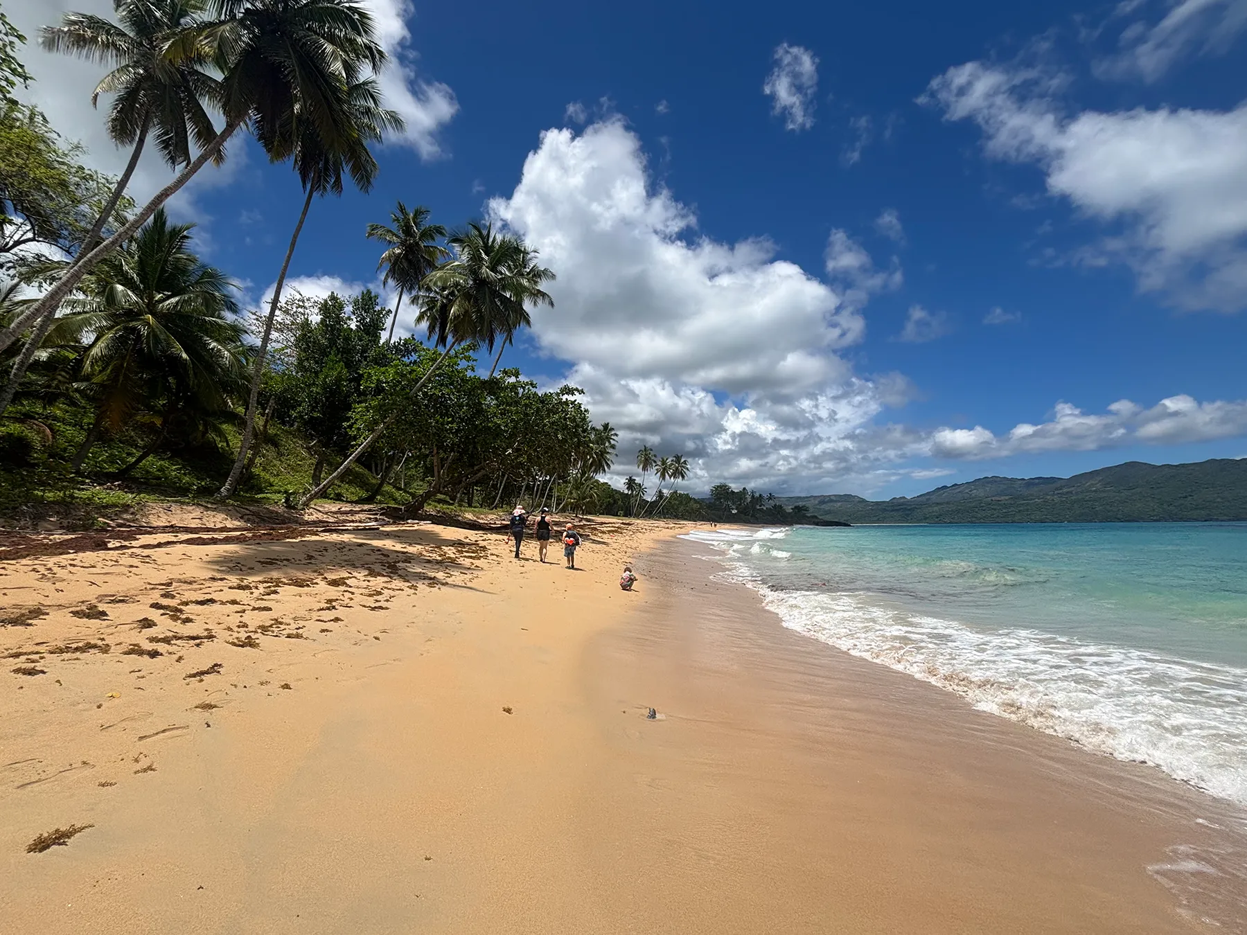 Hikers walking along a palm-lined golden-sand beach with turquoise water and green hills across the bay on the 7 Beaches Hike in Las Galeras, Samaná