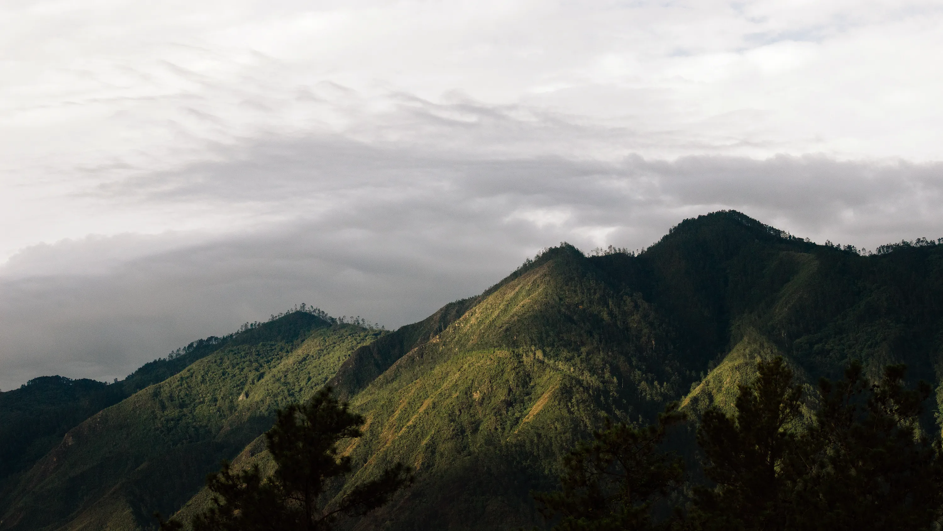 Misty green mountain ridges in the Dominican Republic highlands