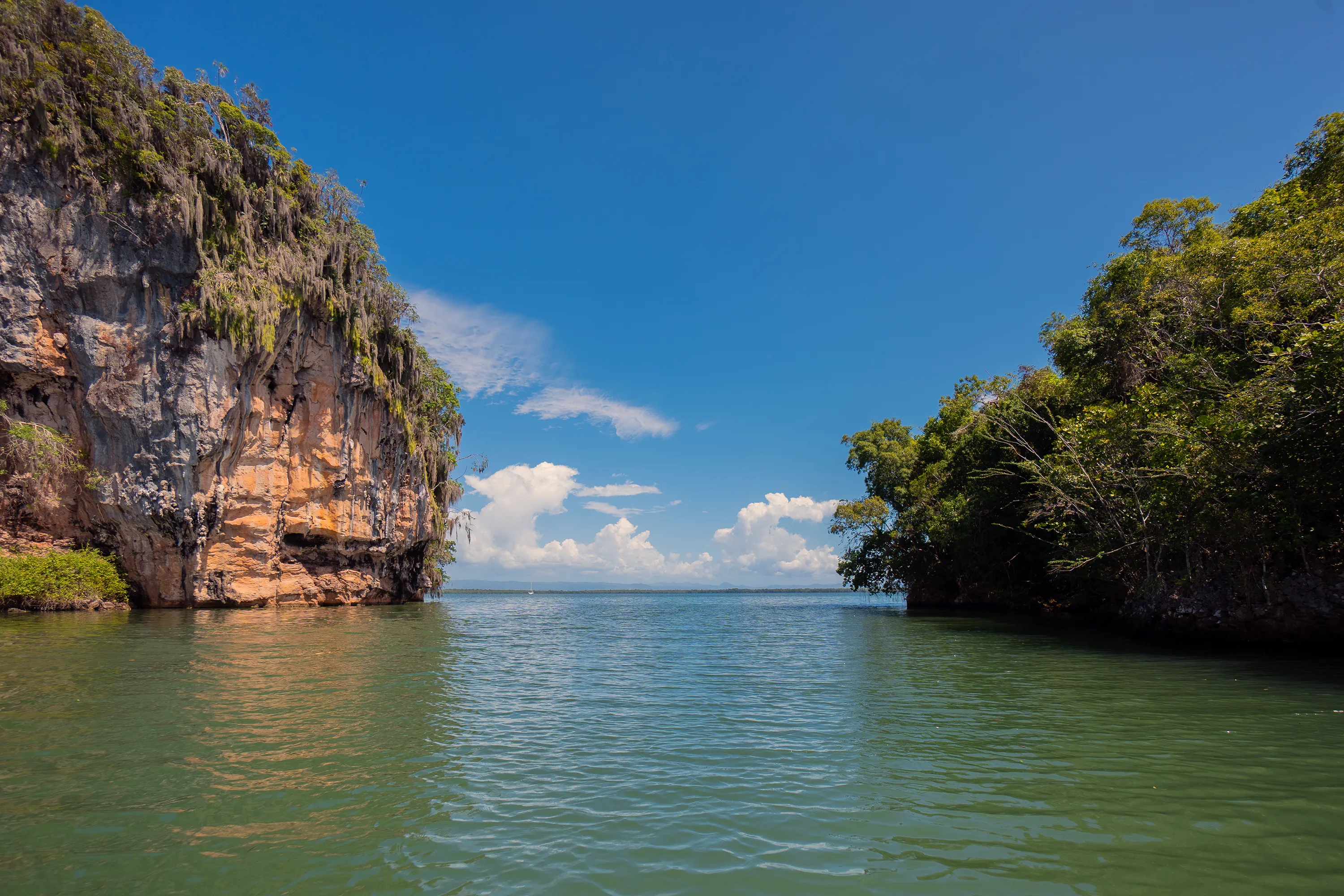 A limestone cliff rising from the sea framed by mangroves in Los Haitises National Park, Dominican Republic