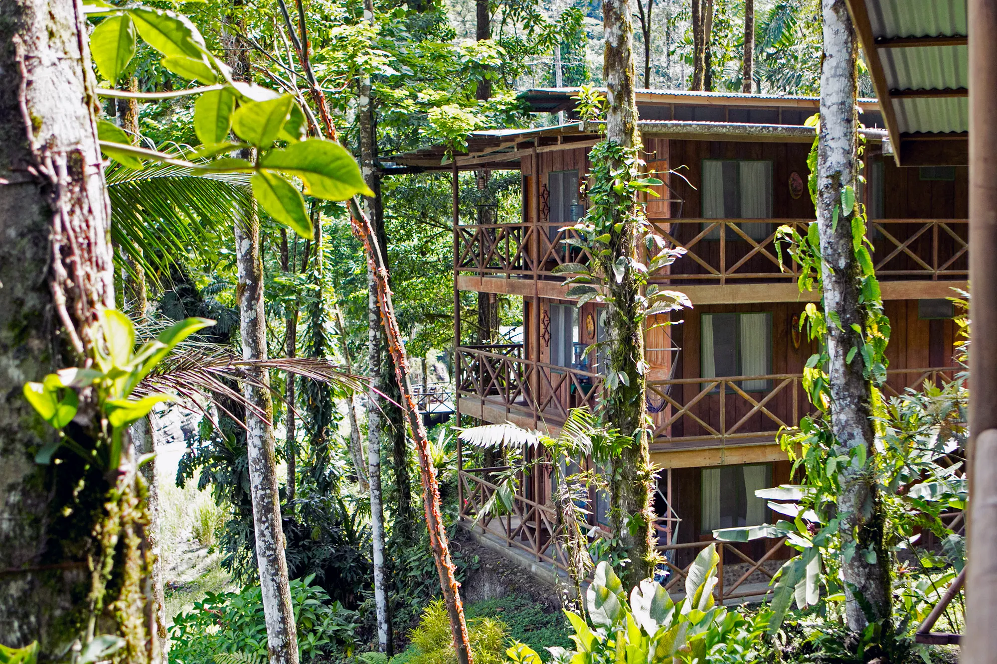 A wooden rainforest lodge surrounded by tropical greenery in Costa Rica