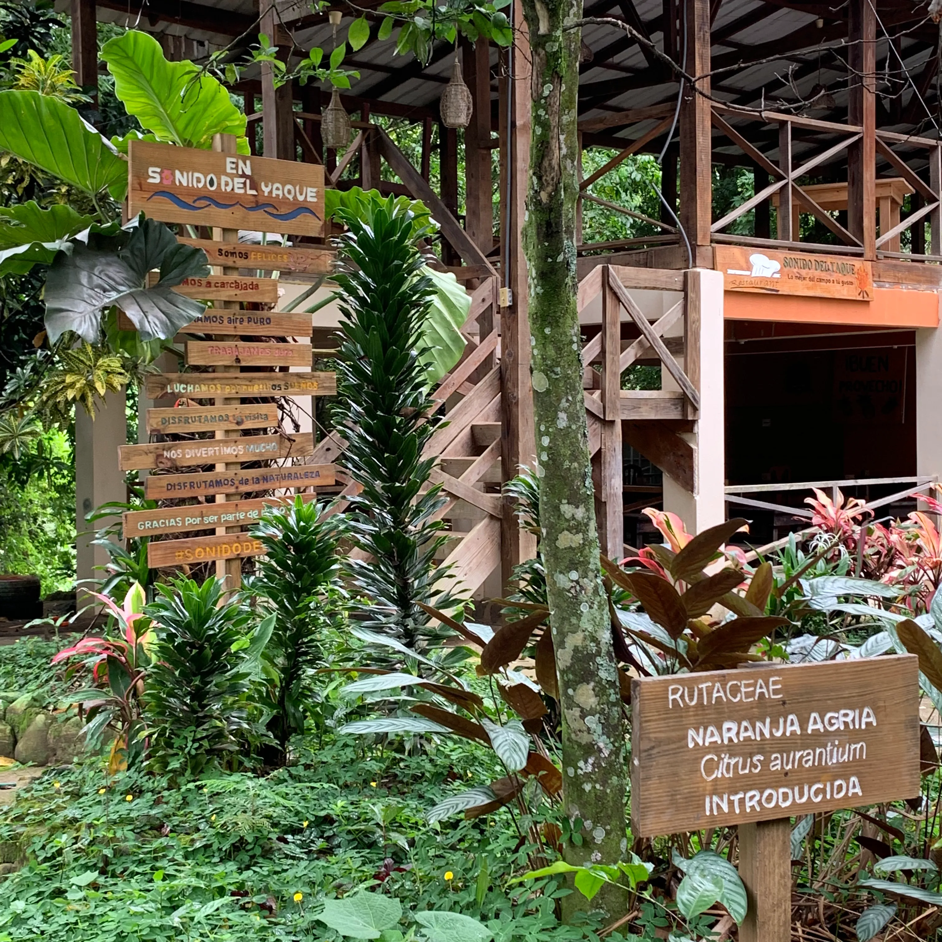 A wooden directional signpost among tropical plants at an eco-lodge in the Dominican Republic