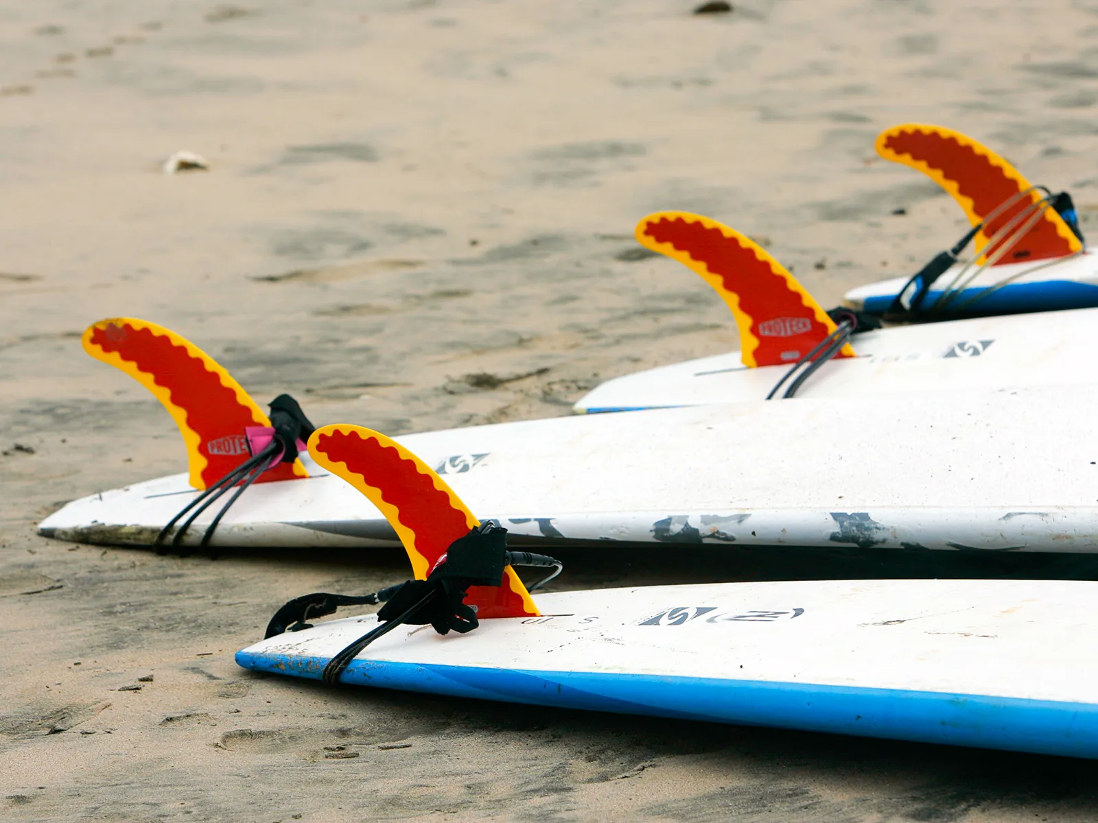 A surfboard resting on the sand on a Pacific beach in Costa Rica