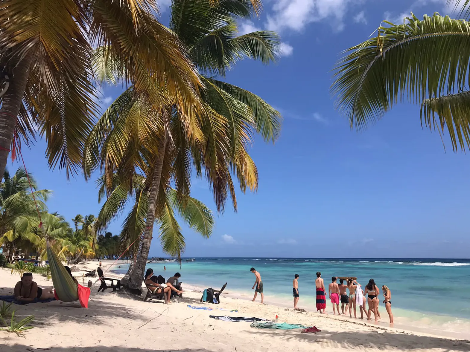 Palm trees against a bright blue sky in the Dominican Republic