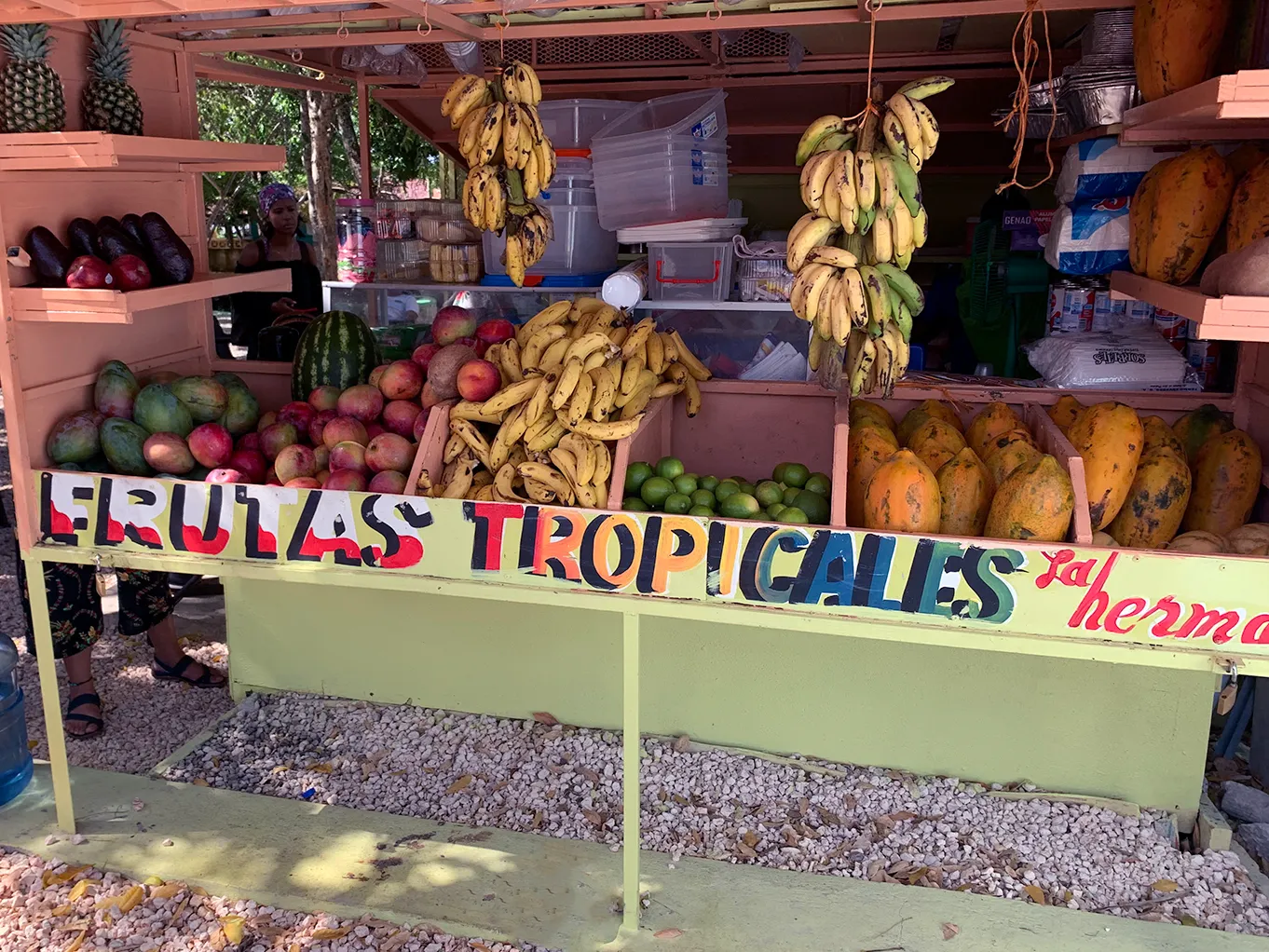 A colorful roadside fruit stand stocked with tropical fruit in the Dominican Republic