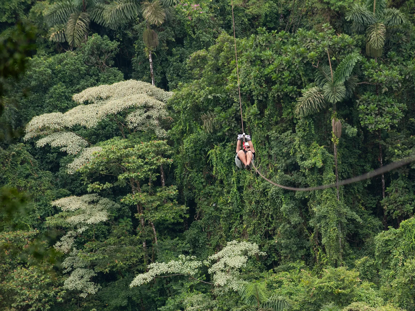 A person ziplining through the rainforest canopy in Costa Rica