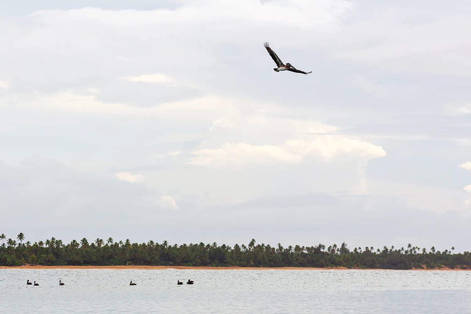 A pale, cloud-filled sky along the coast in Puerto Rico