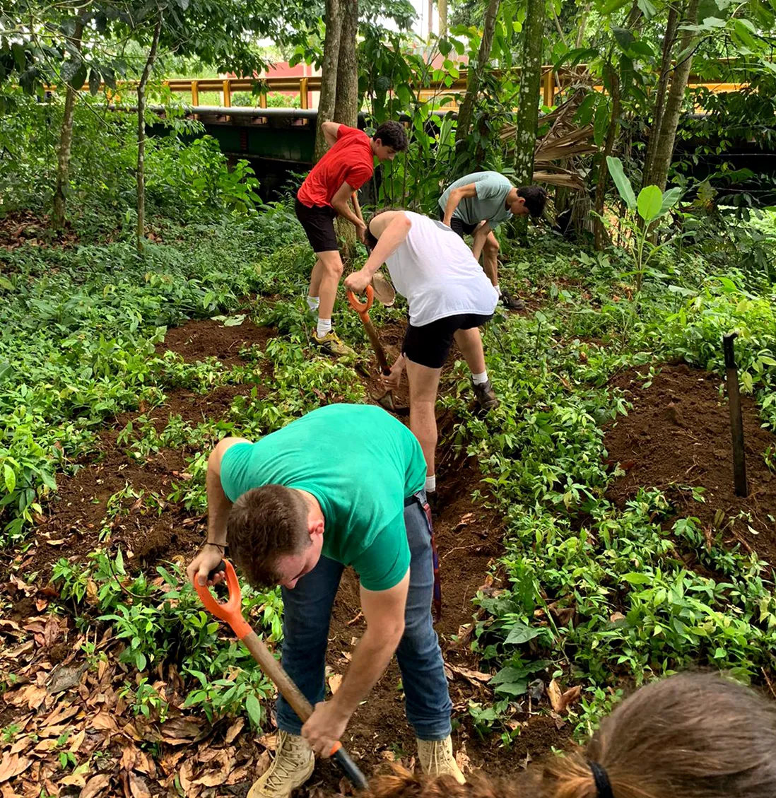 Students digging and planting during a reforestation service project in Costa Rica