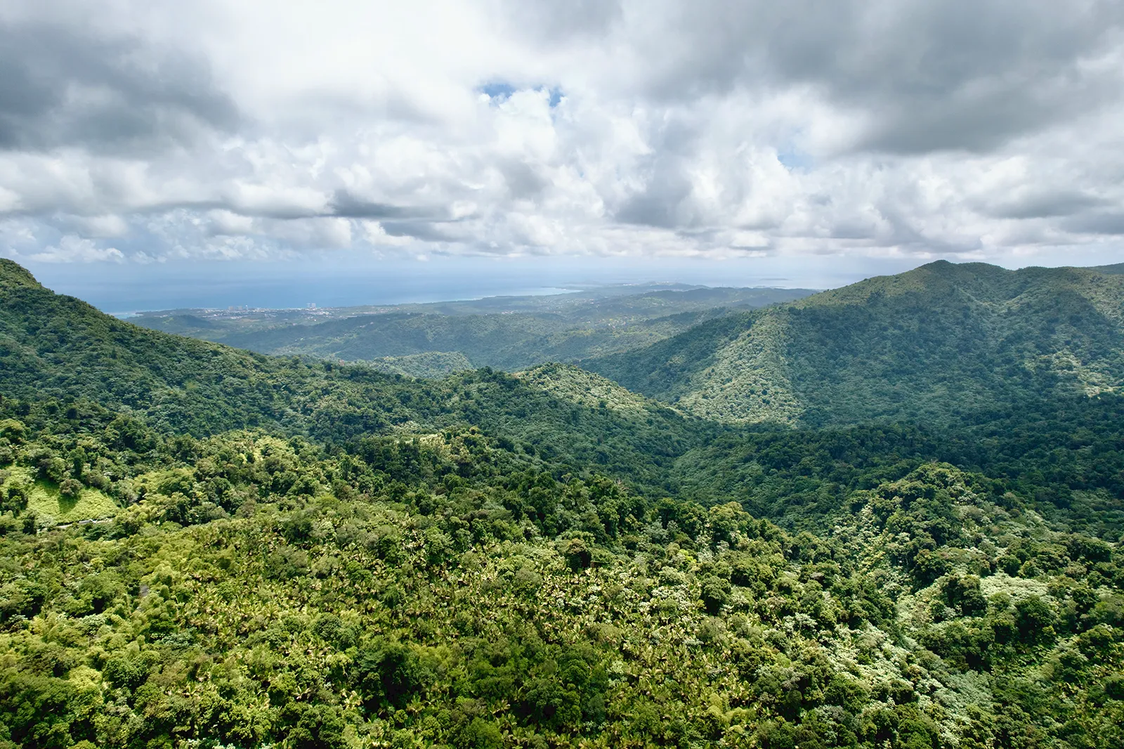 Forested green mountains and valleys in Puerto Rico