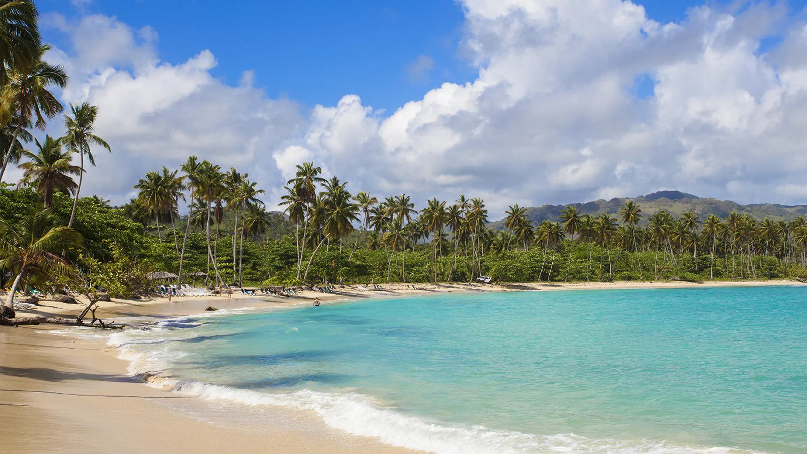 A palm-lined turquoise cove backed by green mountains in Samána, Dominican Republic