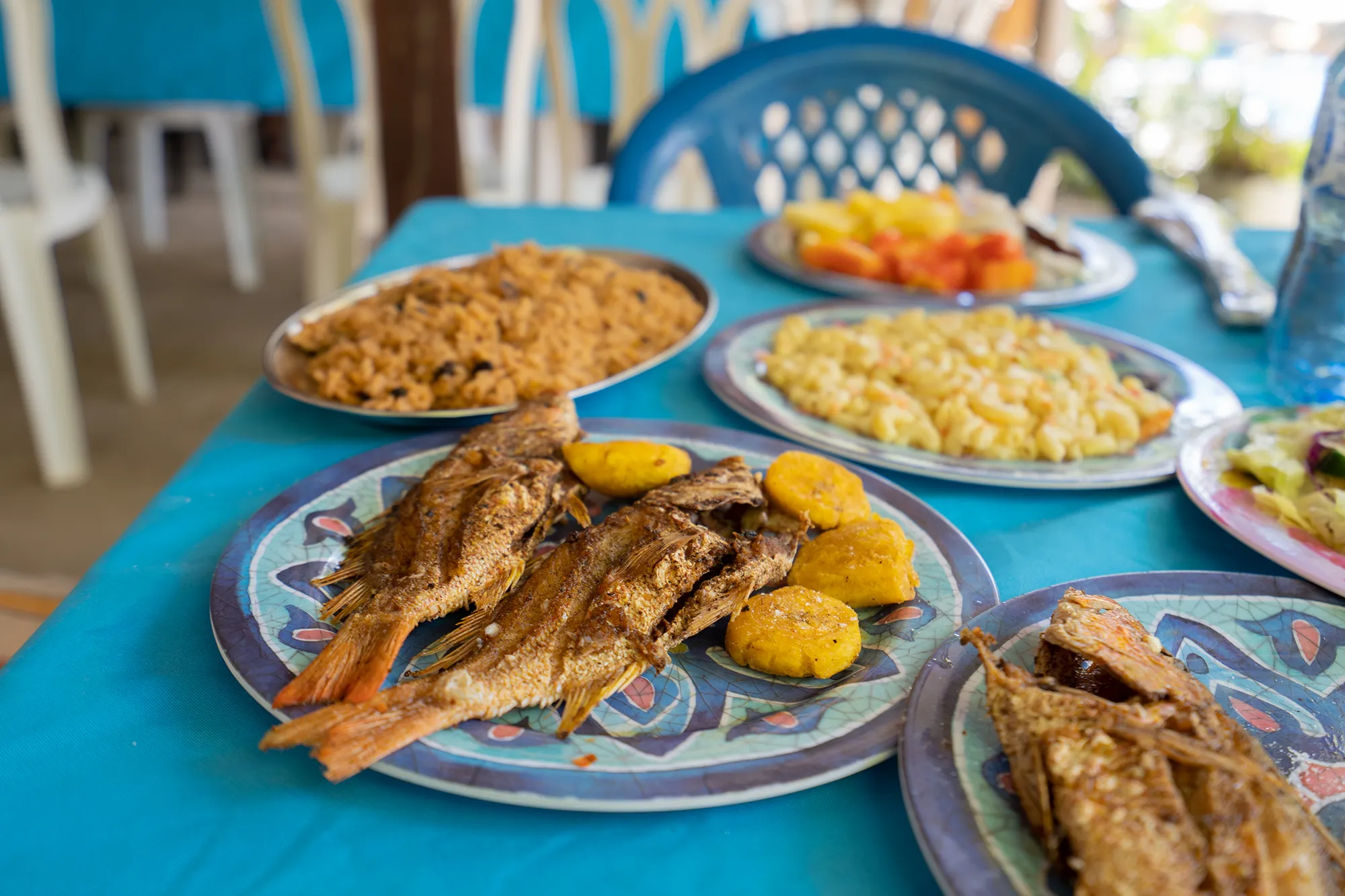 A spread of traditional Dominican dishes with fried fish, rice, and plantains
