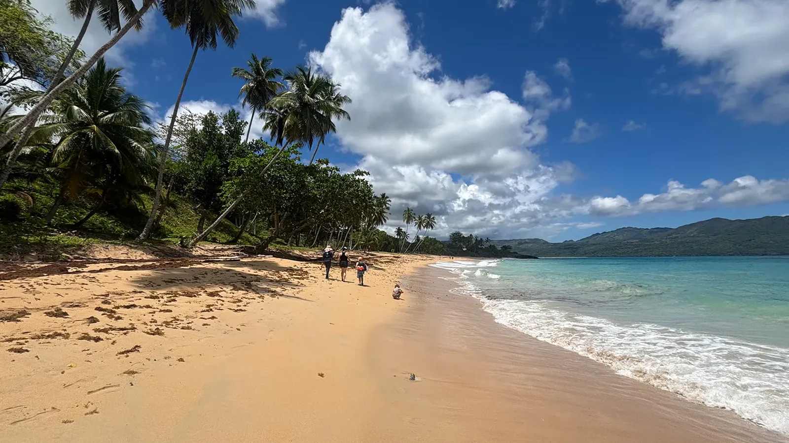 Hikers on a palm-lined golden-sand beach with turquoise water and green hills across the bay in Las Galeras, Samaná