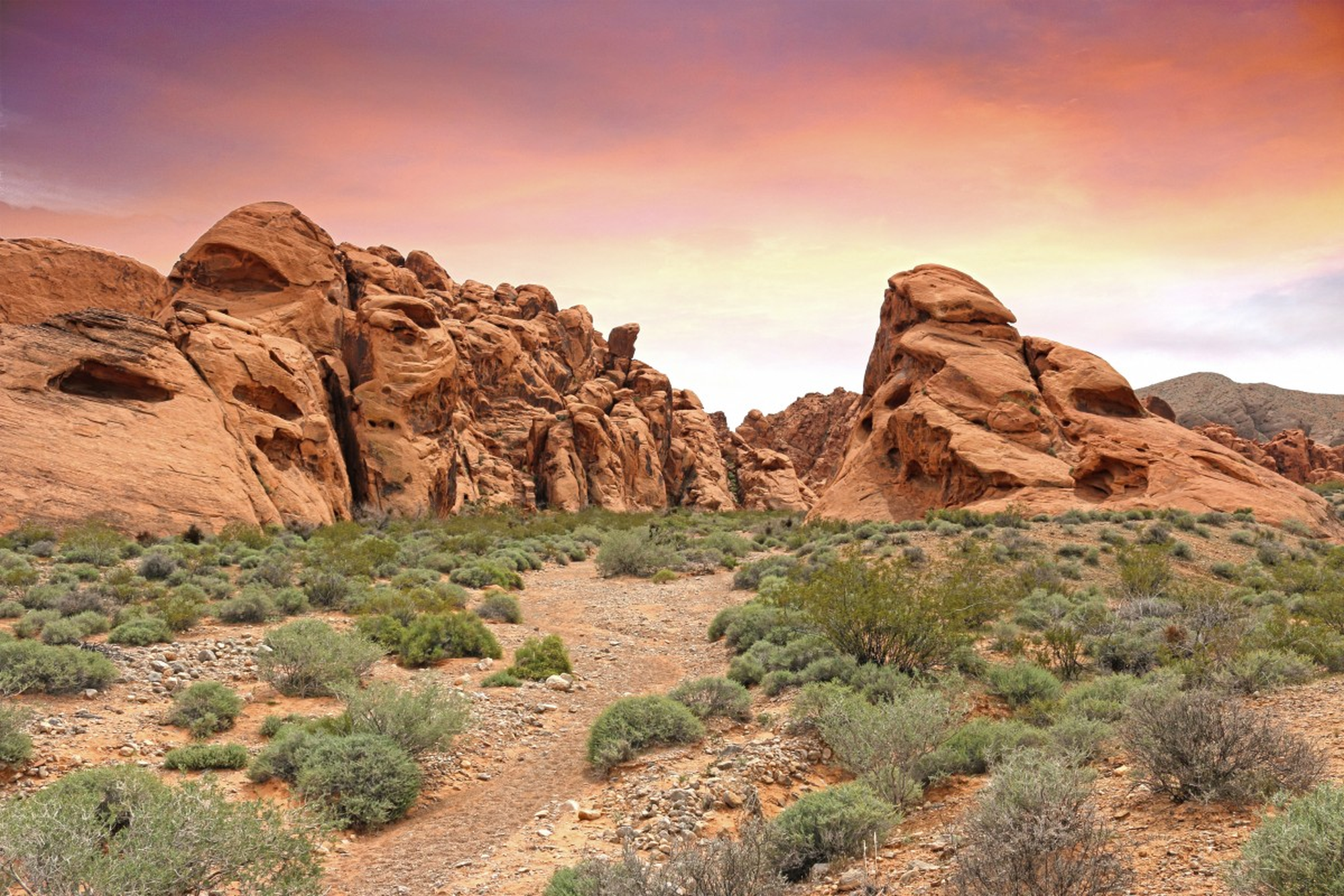 Statewide digital health data coverage for Nevada personal injury firms