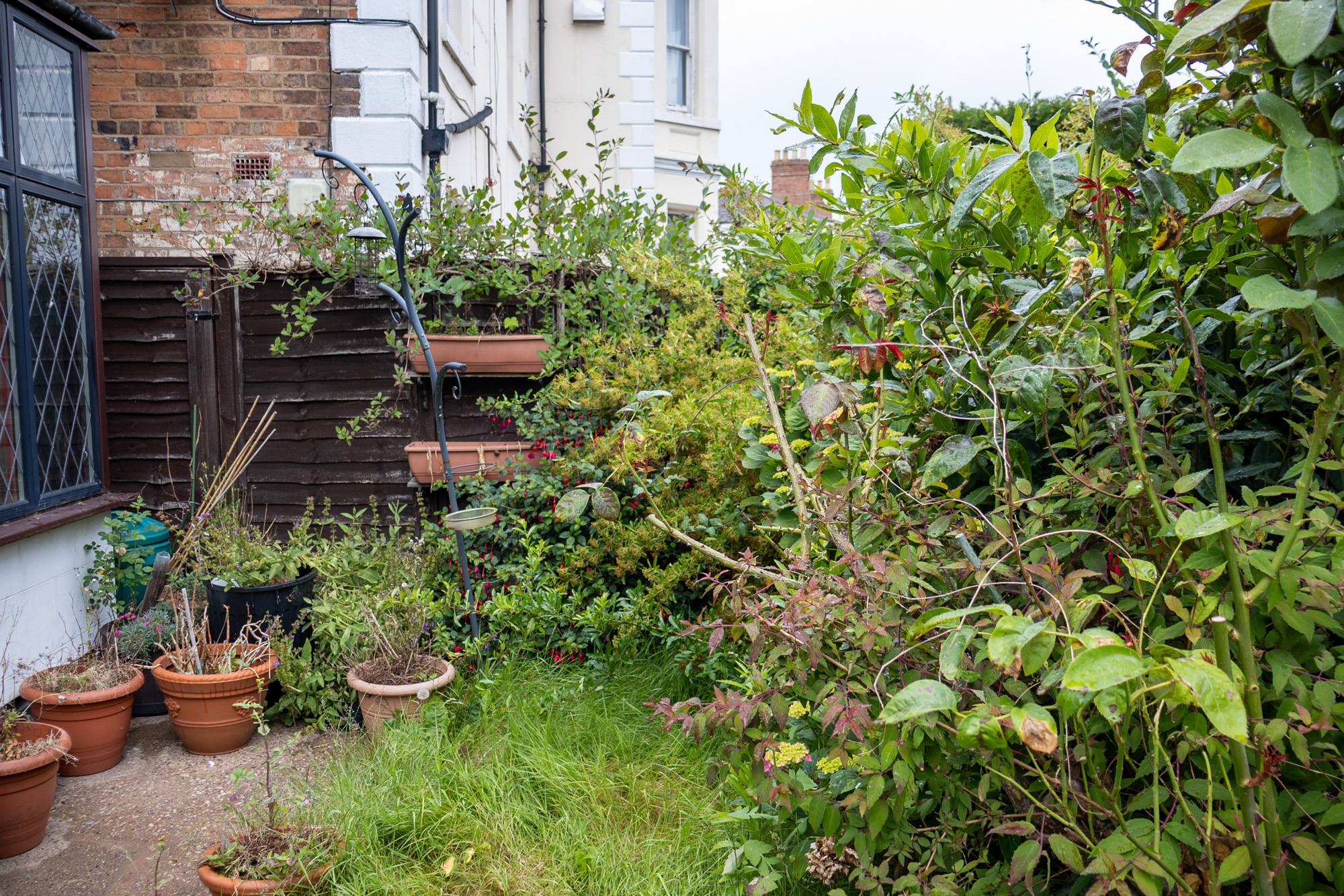 Garden at the property before renovation