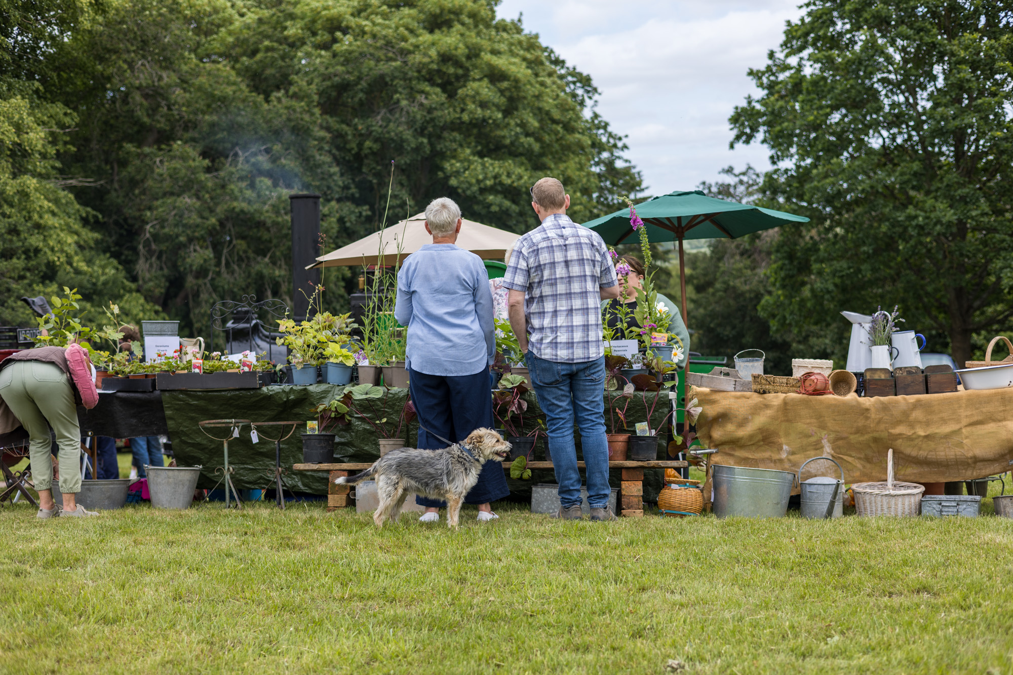Crowd of visitors at Creaton in Bloom