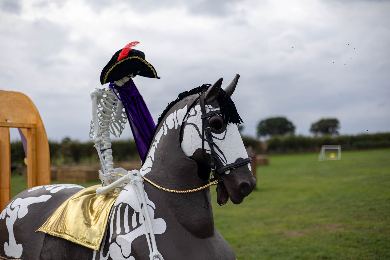 Skeleton rider in a pirate hat on a model horse at Overstone Grange Farm