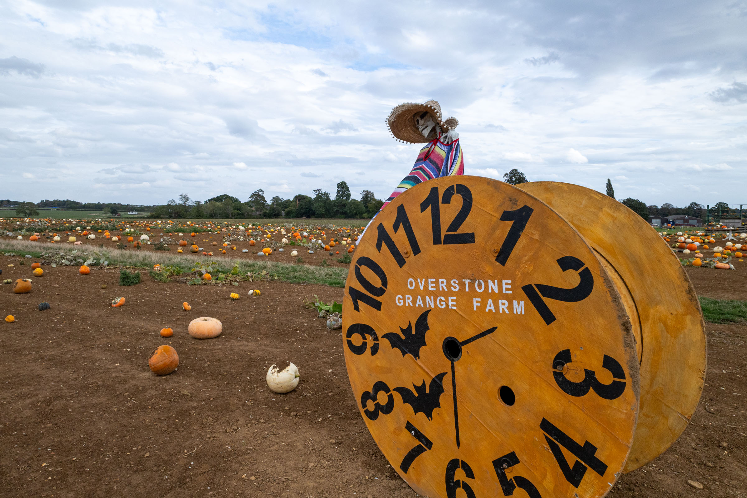 Overstone Grange Farm clock sign in front of the pumpkin patch, Northamptonshire