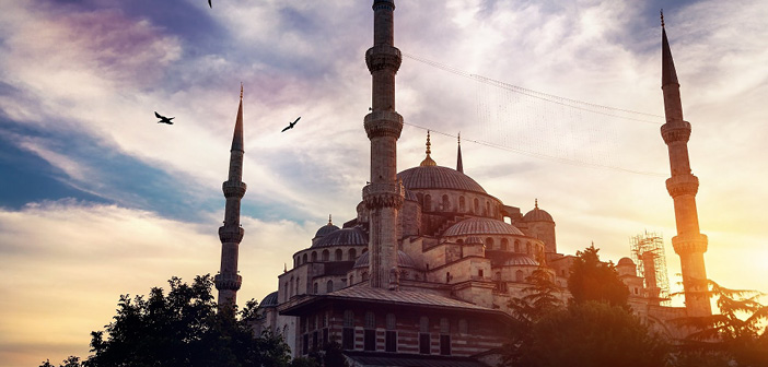 Nextpulse-blog-details-three-similar-news