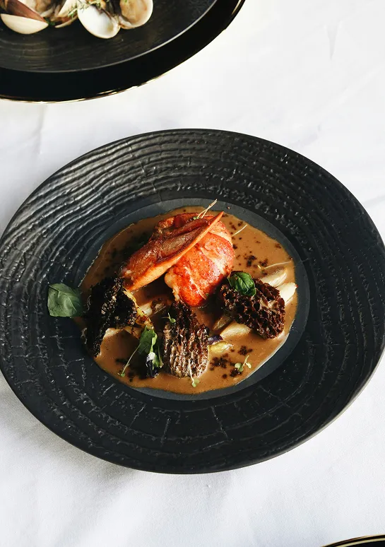 Lobster tail with morel mushrooms in a cream sauce on a black textured plate