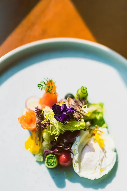 Plated salad of baby vegetables, edible flowers and a poached egg