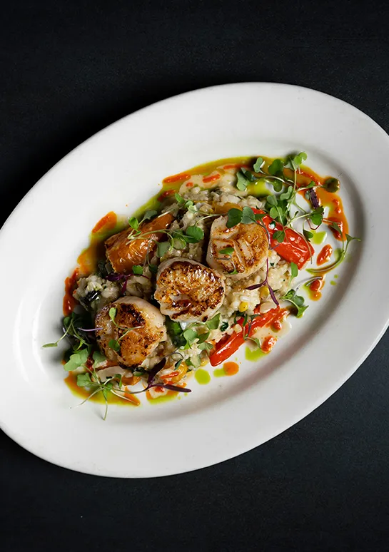 Seared scallops over vegetable risotto with microgreens on a white oval platter