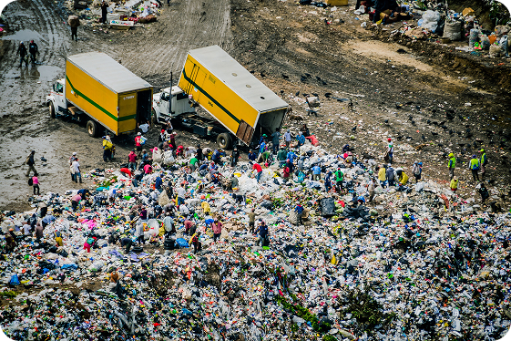 A large group of people scavenging through heaps of garbage on a landfill site with two yellow trucks unloading waste nearby.