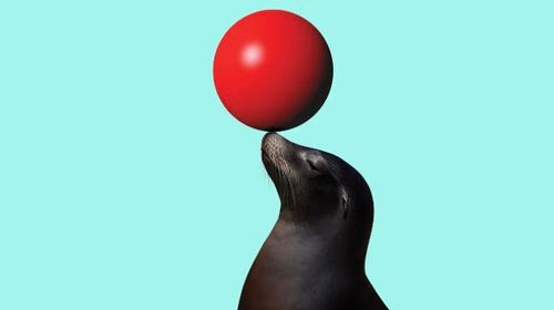 HBR: Skills-Based Hiring Is on the Rise
