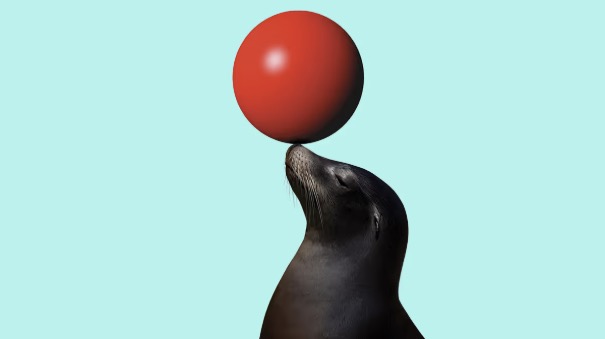 HBR: Skills-Based Hiring Is on the Rise