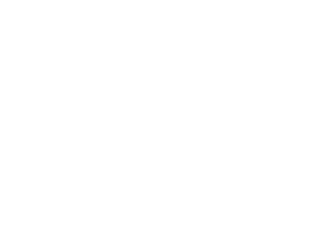 NAFDI Logo