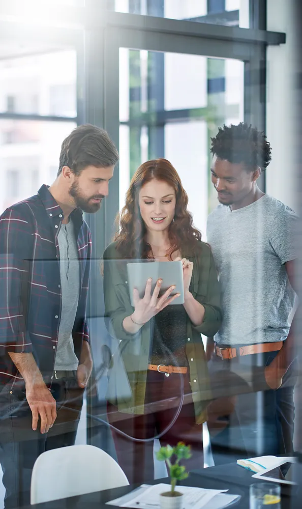 VisioneerIT's Vision