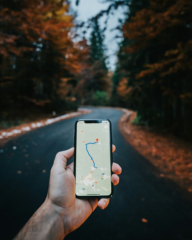 Checking a business listing on a phone.