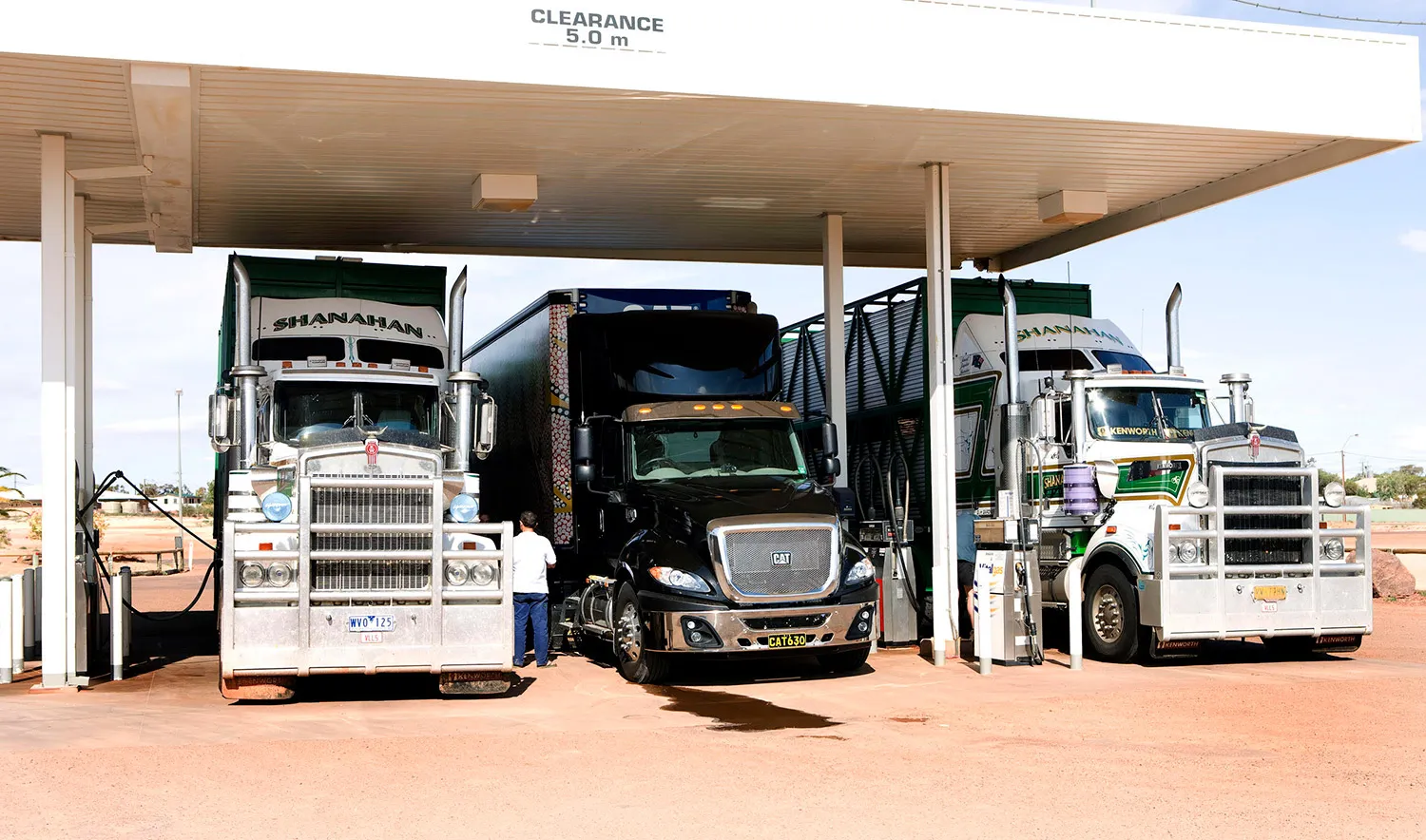 Three large trucks, including two white Kenworth trucks and one black CAT truck, parked side by side under a fuel station canopy with a clearance of 5 meters.