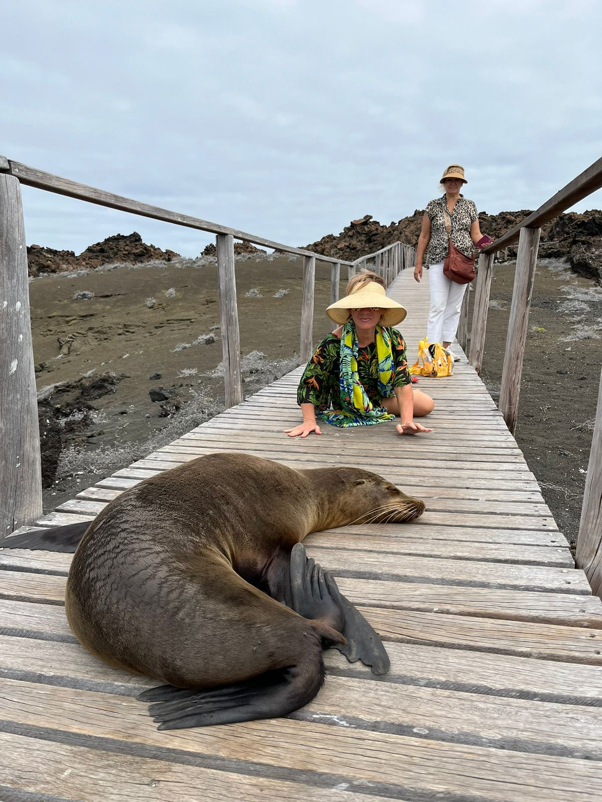 Галапагосские острова