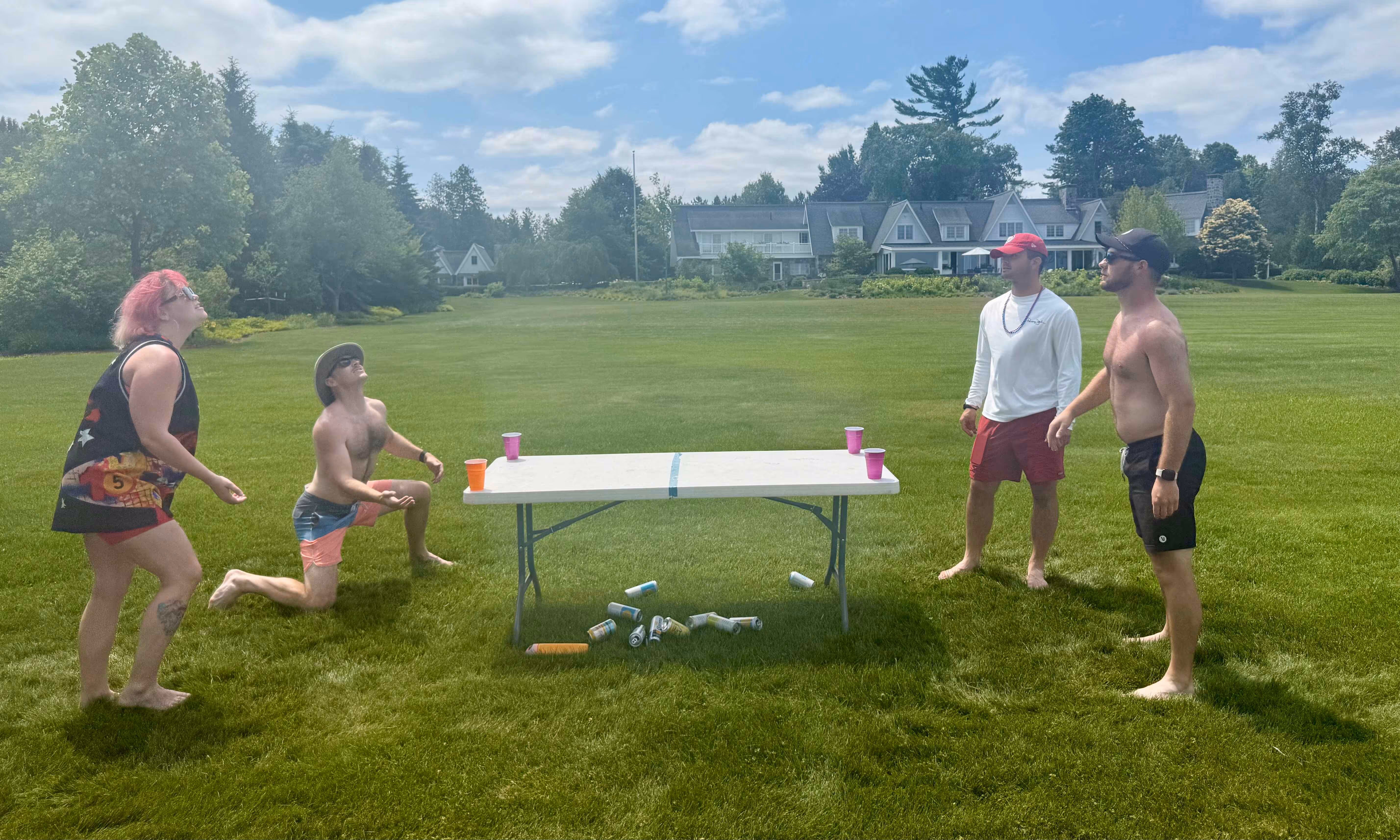 matcha powder up close
