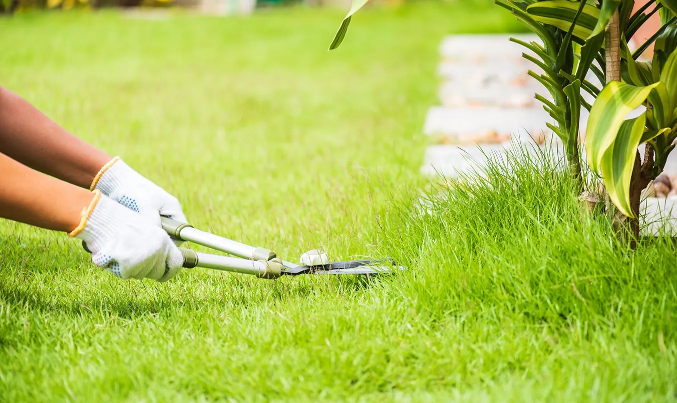 Reliable & On-Time Service