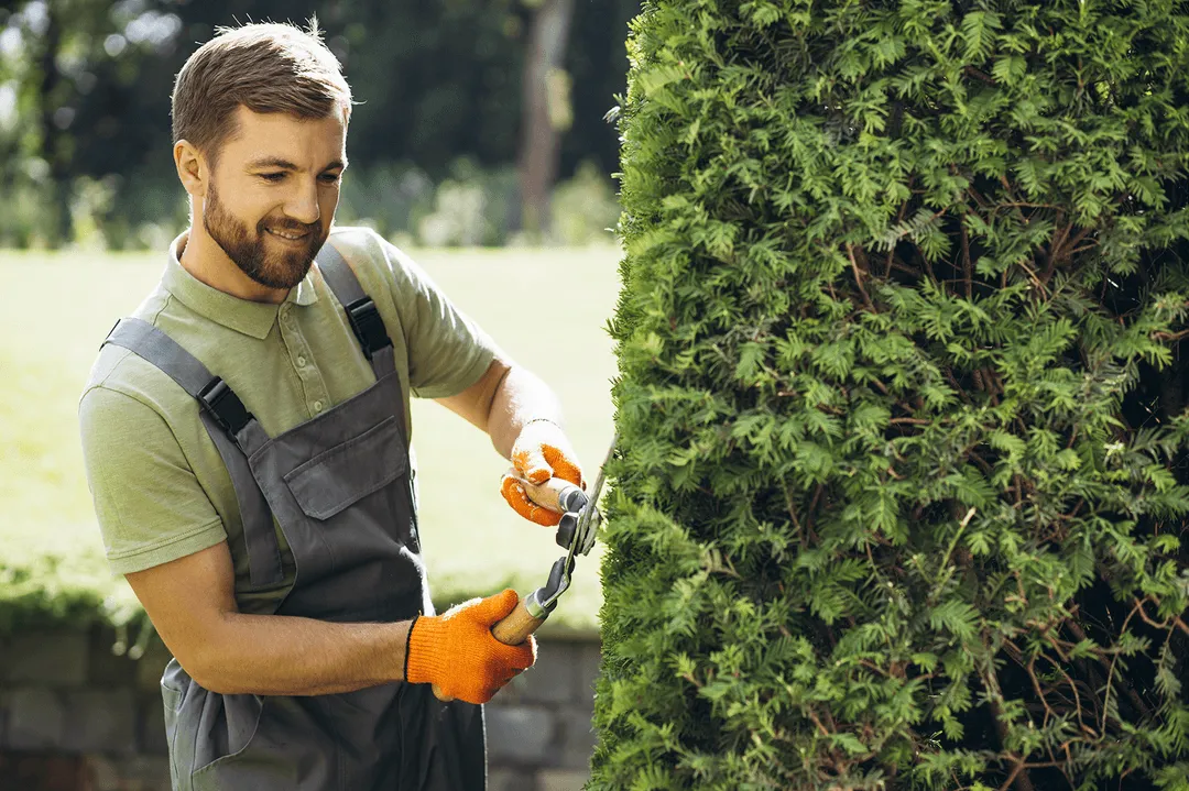 Modern Tools & Techniques