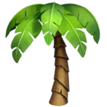 Palm tree with a curved trunk and large green leaves.