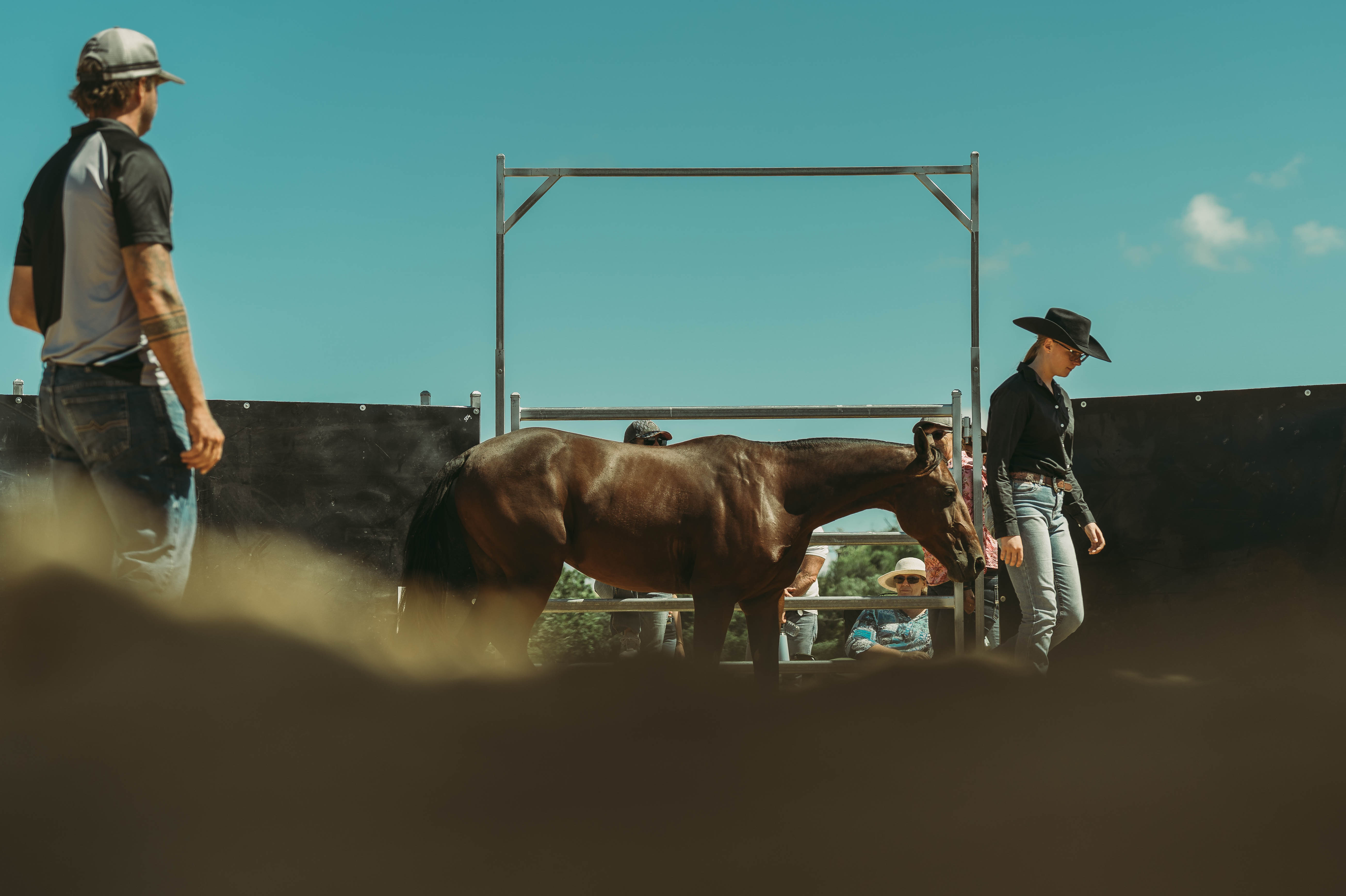 Horsemanship Clinic