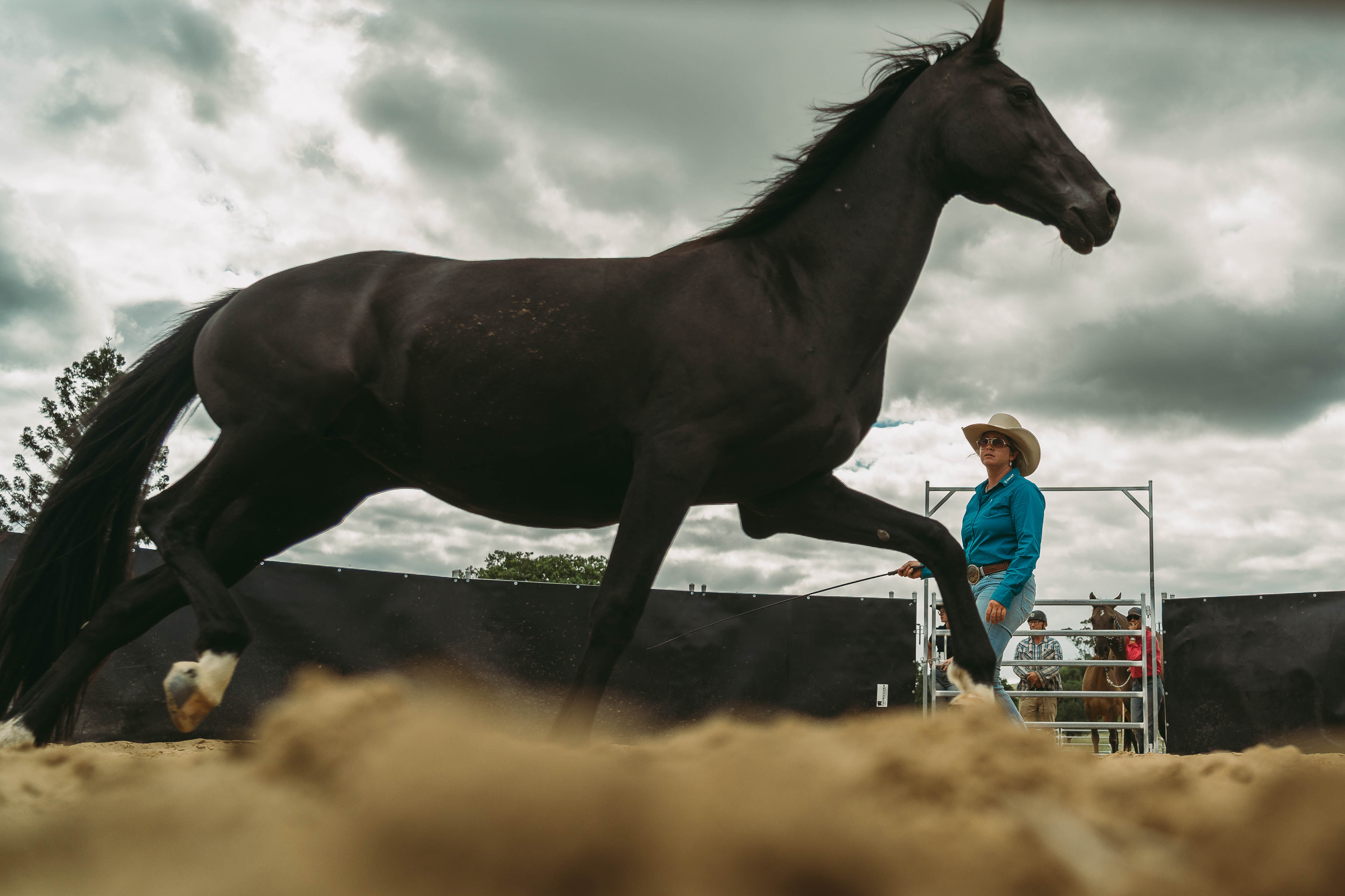 1 Day Liberty Foundations Clinic