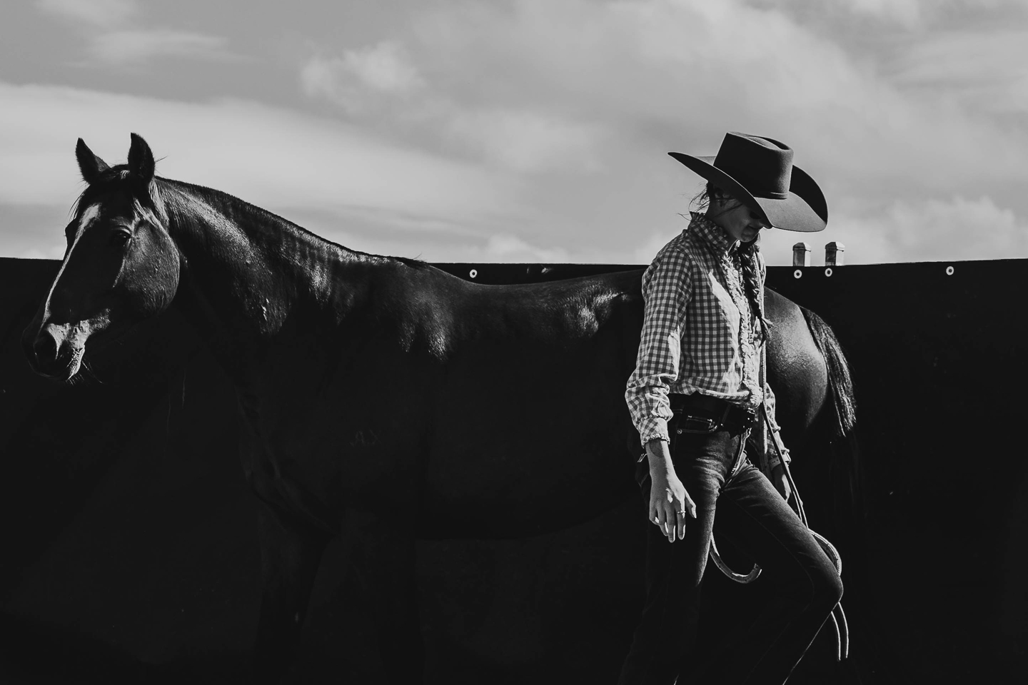 2 day Green Horse Clinic