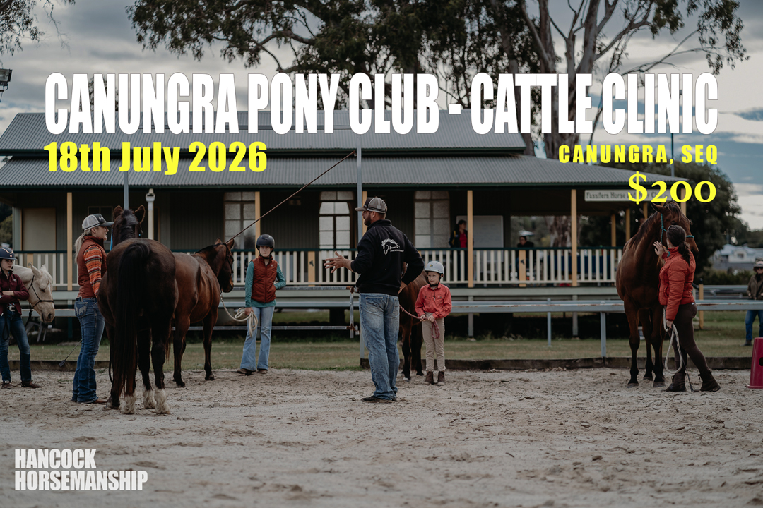 Canungra Pony Club - Cattle Clinic