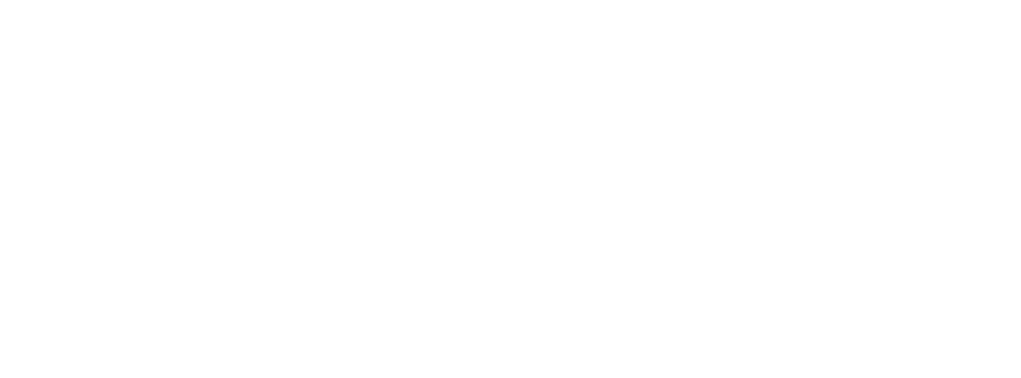 Novo logo in white