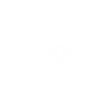 Analytics & Dashboards
